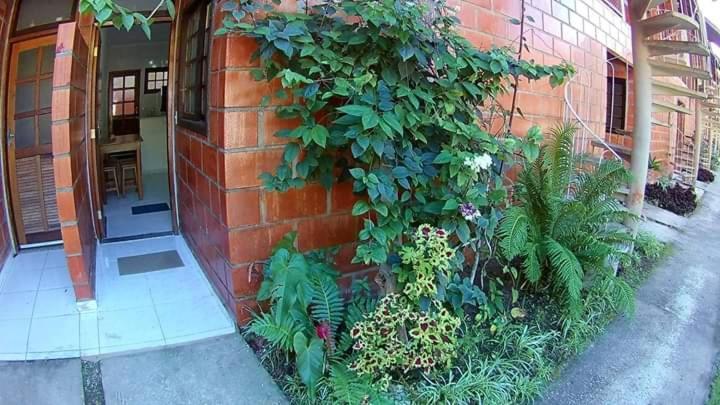 Apt Studio Maranduba Ville 1 Apartman Ubatuba Kültér fotó